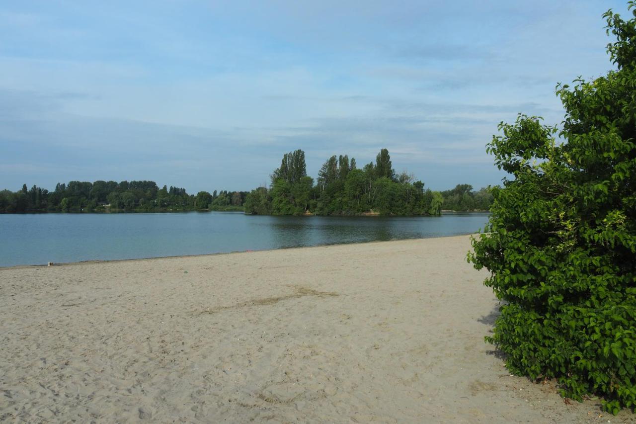 Hortensie Speyer Kültér fotó