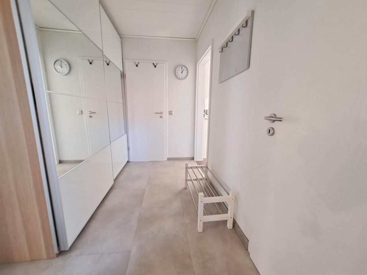 Hortensie Speyer Kültér fotó