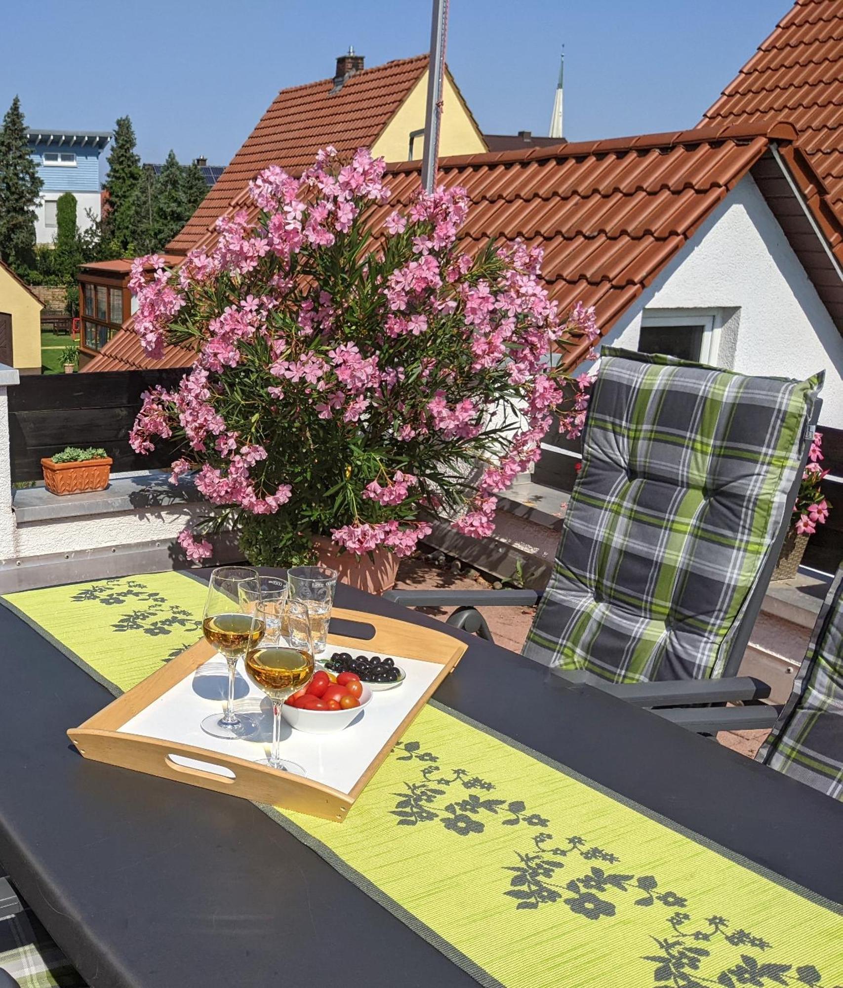 Hortensie Speyer Kültér fotó
