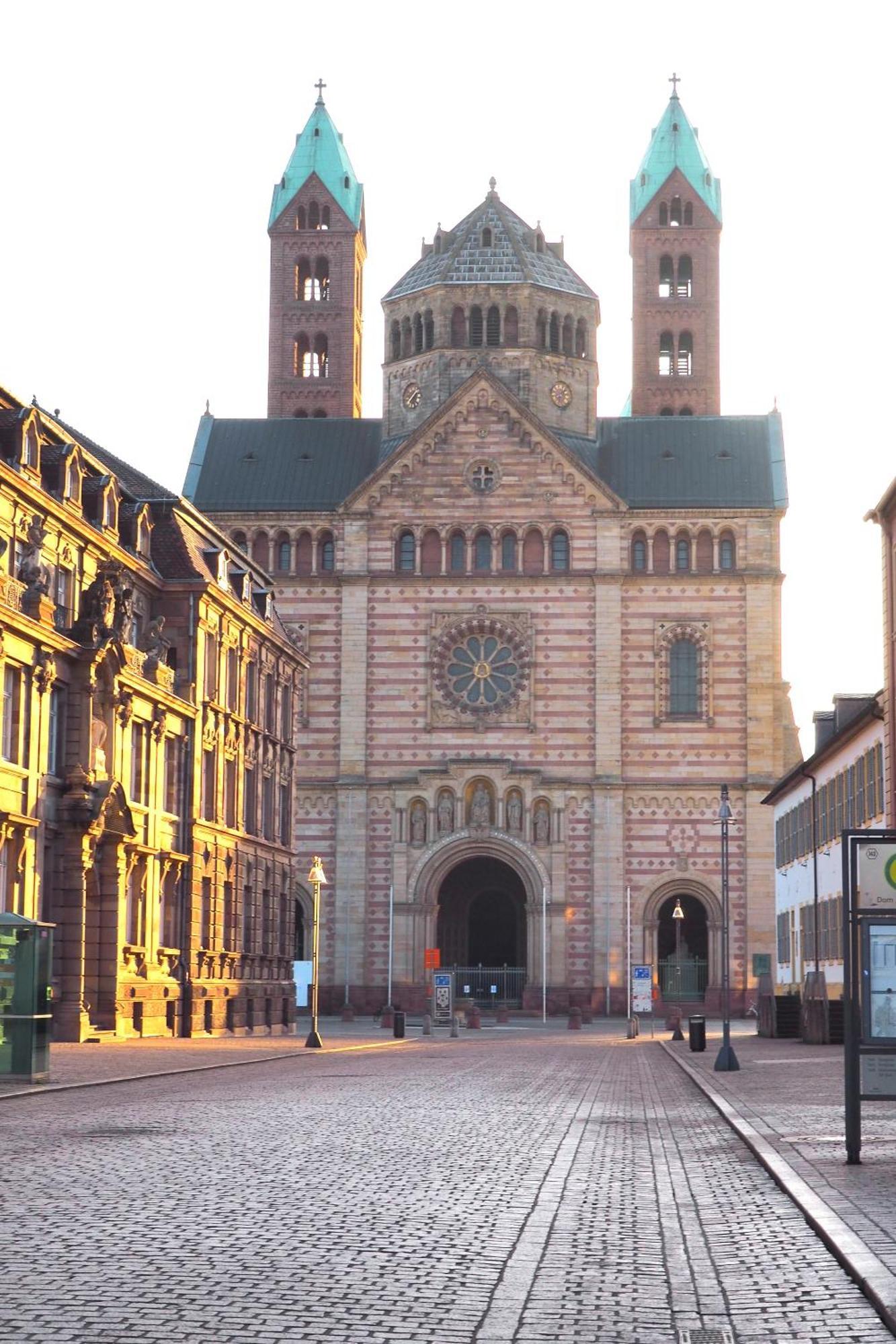 Hortensie Speyer Kültér fotó