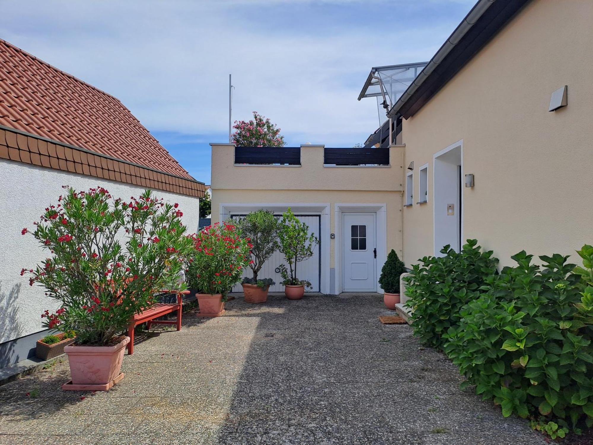 Hortensie Speyer Kültér fotó